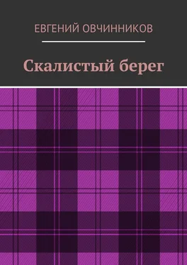 Евгений Овчинников Скалистый берег обложка книги