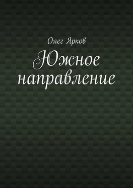 Олег Ярков Южное направление обложка книги