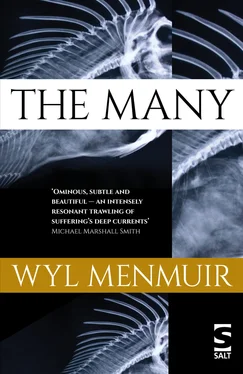 Wyl Menmuir The Many обложка книги