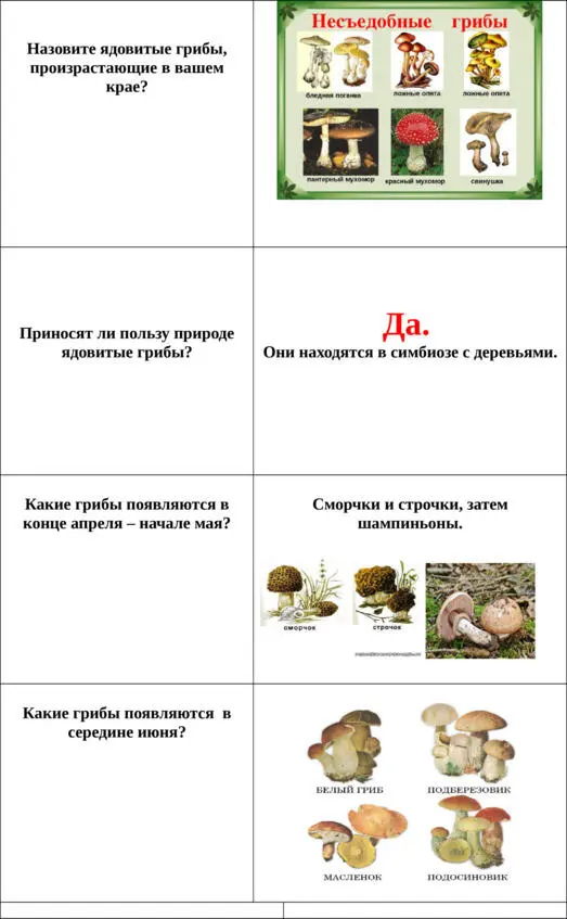 Грибы Флешкарточки для запоминания - фото 23