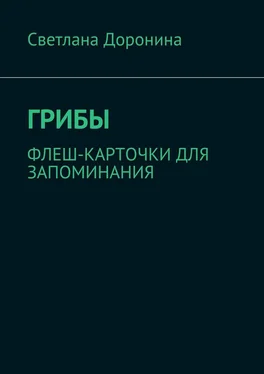 Светлана Доронина Грибы. Флеш-карточки для запоминания обложка книги