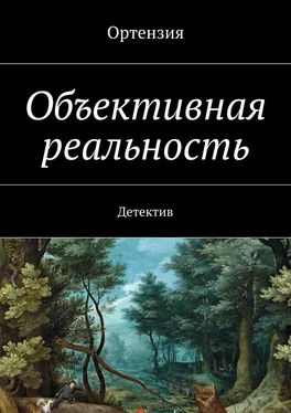 Ортензия Объективная реальность. Детектив обложка книги