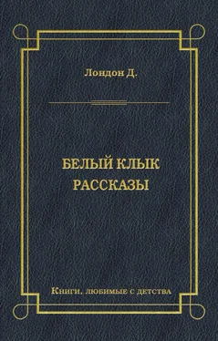 Джек Лондон Белый Клык. Рассказы обложка книги