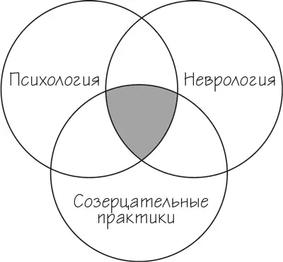 Рис 1 Взаимное пересечение трех дисциплин Ни одна книга не сделает ваш мозг - фото 2