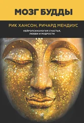 Рик Хансон - Мозг Будды - нейропсихология счастья, любви и мудрости