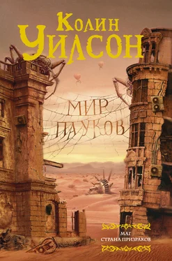 Колин Уилсон Мир пауков: Маг. Страна призраков (сборник) обложка книги