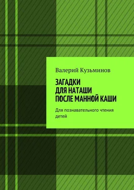 Валерий Кузьминов Загадки для Наташи после манной каши. Для познавательного чтения детей обложка книги