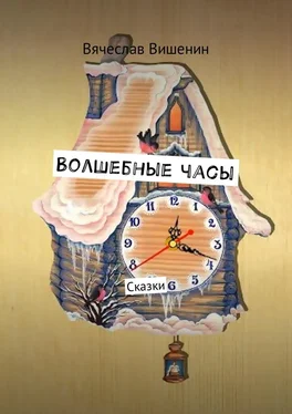 Вячеслав Вишенин Волшебные часы. Сказки обложка книги
