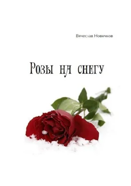 Вячеслав Новичков Розы на снегу обложка книги