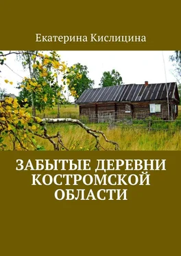 Екатерина Кислицина Забытые деревни Костромской области обложка книги