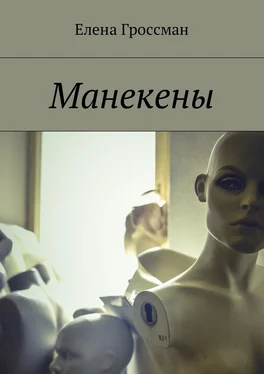 Елена Гроссман Манекены обложка книги