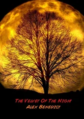 Alex Benedict - The Velvet Of The Night