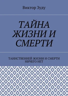 Виктор Зуду Тайна жизни и смерти. Таинственней жизни и и смерти ничего нет обложка книги