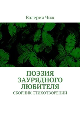 Валерия Чиж Поэзия заурядного любителя. Сборник стихотворений обложка книги