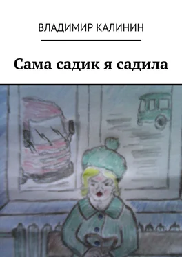 Владимир Калинин Сама садик я садила обложка книги