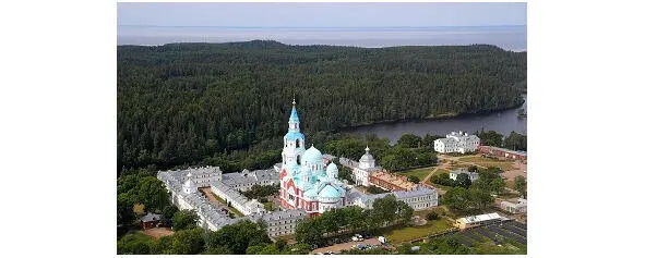 Ведь из Таиланда к нам в Россию Их красоту не привезешь Там заражают - фото 10