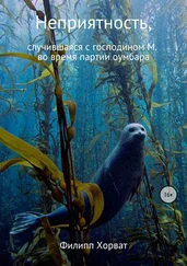 Филипп Хорват - Неприятность, случившаяся с господином М. во время партии оумбара
