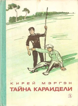 Кирей Мэргэн Тайна Караидели обложка книги