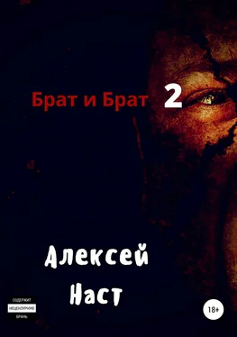 Алексей Наст Брат и Брат 2 обложка книги