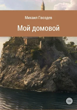 Михаил Гвоздев Мой домовой обложка книги