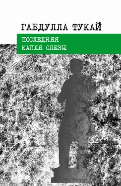 Габдулла Тукай Последняя капля слезы обложка книги