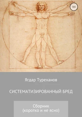 Ягдар Туреханов Систематизированный бред (Коротко и не ясно) обложка книги