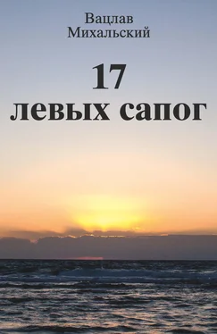 Вацлав Михальский 17 левых сапог обложка книги