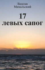 Вацлав Михальский - 17 левых сапог