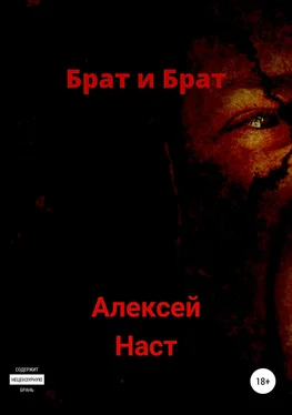 Алексей Наст Брат и Брат обложка книги