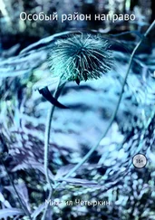 Михаил Четыркин - Особый район направо