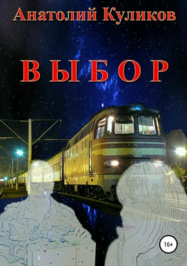 Анатолий Куликов Выбор обложка книги