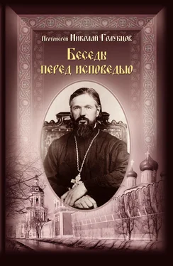 протоиерей Николай Голубцов Беседы перед исповедью обложка книги