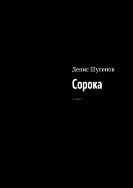 Денис Шулепов Сорока обложка книги