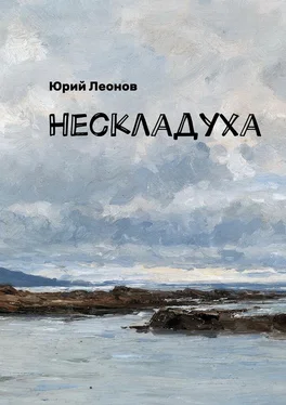 Юрий Леонов Нескладуха обложка книги