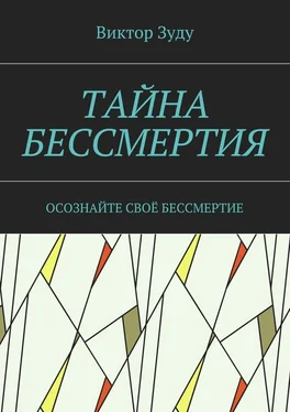 Виктор Зуду Тайна бессмертия. Осознайте своё бессмертие обложка книги