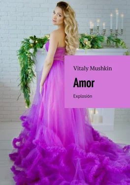 Vitaly Mushkin Amor. Explosión обложка книги