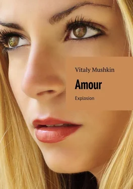 Vitaly Mushkin Amour. Explosion обложка книги