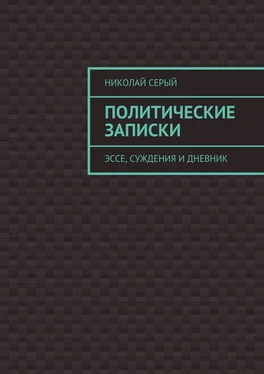 Николай Серый Политические записки. Эссе, суждения и дневник обложка книги