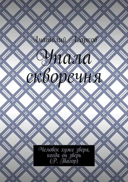 Анатолий Агарков Упала скворечня обложка книги