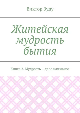 Виктор Зуду Житейская мудрость бытия. Книга 2. Мудрость – дело наживное обложка книги