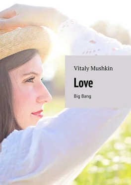 Vitaly Mushkin Love. Big Bang обложка книги