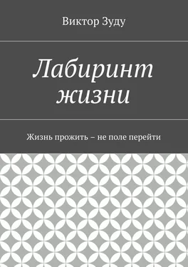 Виктор Зуду Лабиринт жизни обложка книги