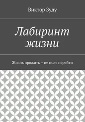 Виктор Зуду - Лабиринт жизни