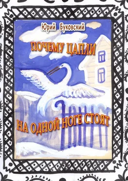 Юрий Буковский Почему цапли на одной ноге стоят. Сказка обложка книги