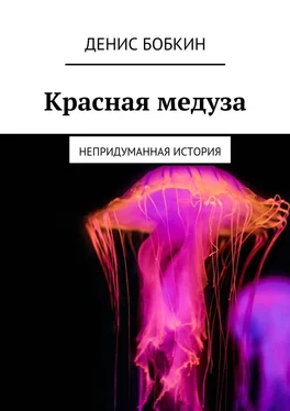 Денис Бобкин Красная медуза. Непридуманная история обложка книги
