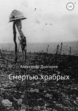 Александр Долгирев Смертью храбрых обложка книги