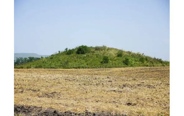 Валя Куда собрался Я обернулся так и есть сеструха Чего тебе Куда - фото 1