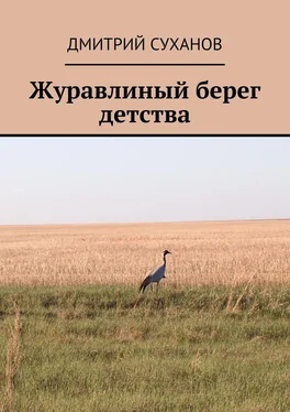 Дмитрий Суханов Журавлиный берег детства обложка книги