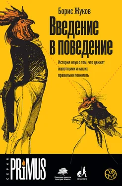 Борис Жуков Введение в поведение. История наук о том, что движет животными и как их правильно понимать обложка книги