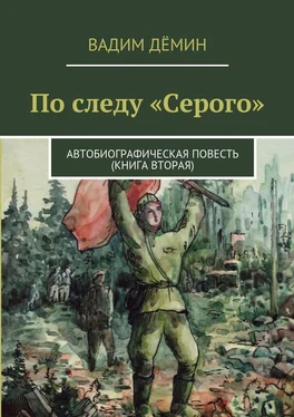 Вадим Дёмин По следу «Серого». Автобиографическая повесть (книга вторая) обложка книги